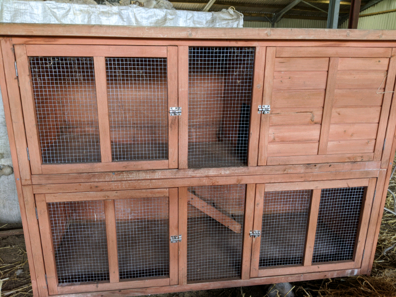 bunny hutch gumtree